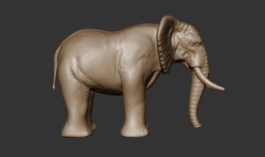 ArtStation - 3D Sculpt: Elephant