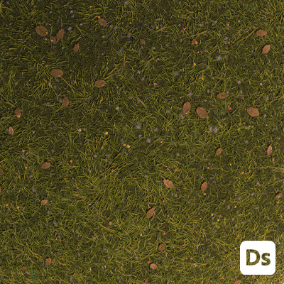 Experimental grass
