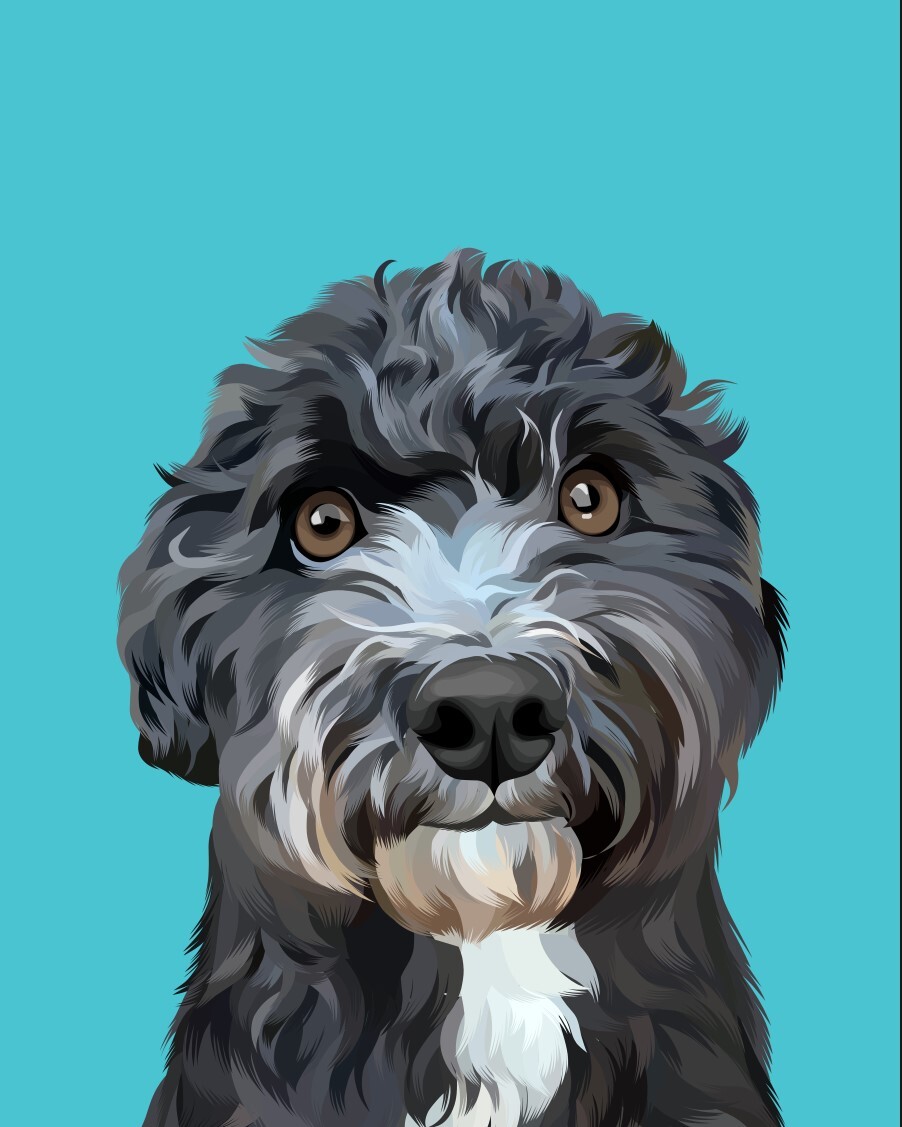 ArtStation - Minimalist Pet Portrait-20210903