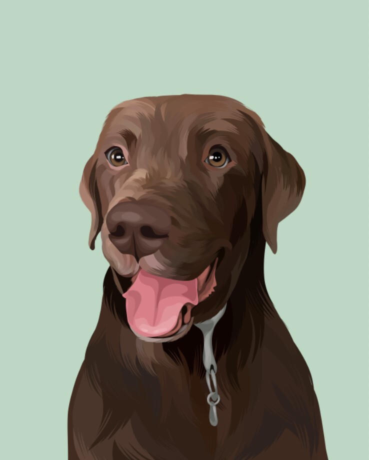 ArtStation - Minimalist Pet Portrait-20210911