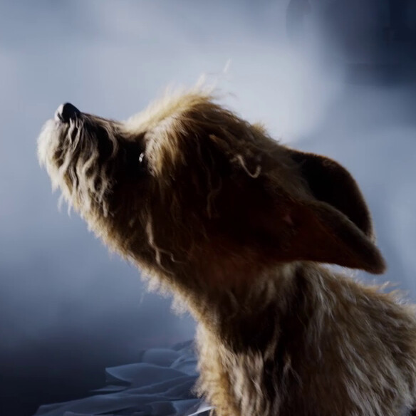 ArtStation Mac Miller “Color and Shapes”