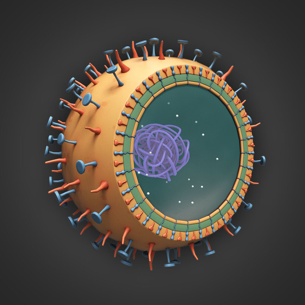 ArtStation - Coccus Bacteria Cell