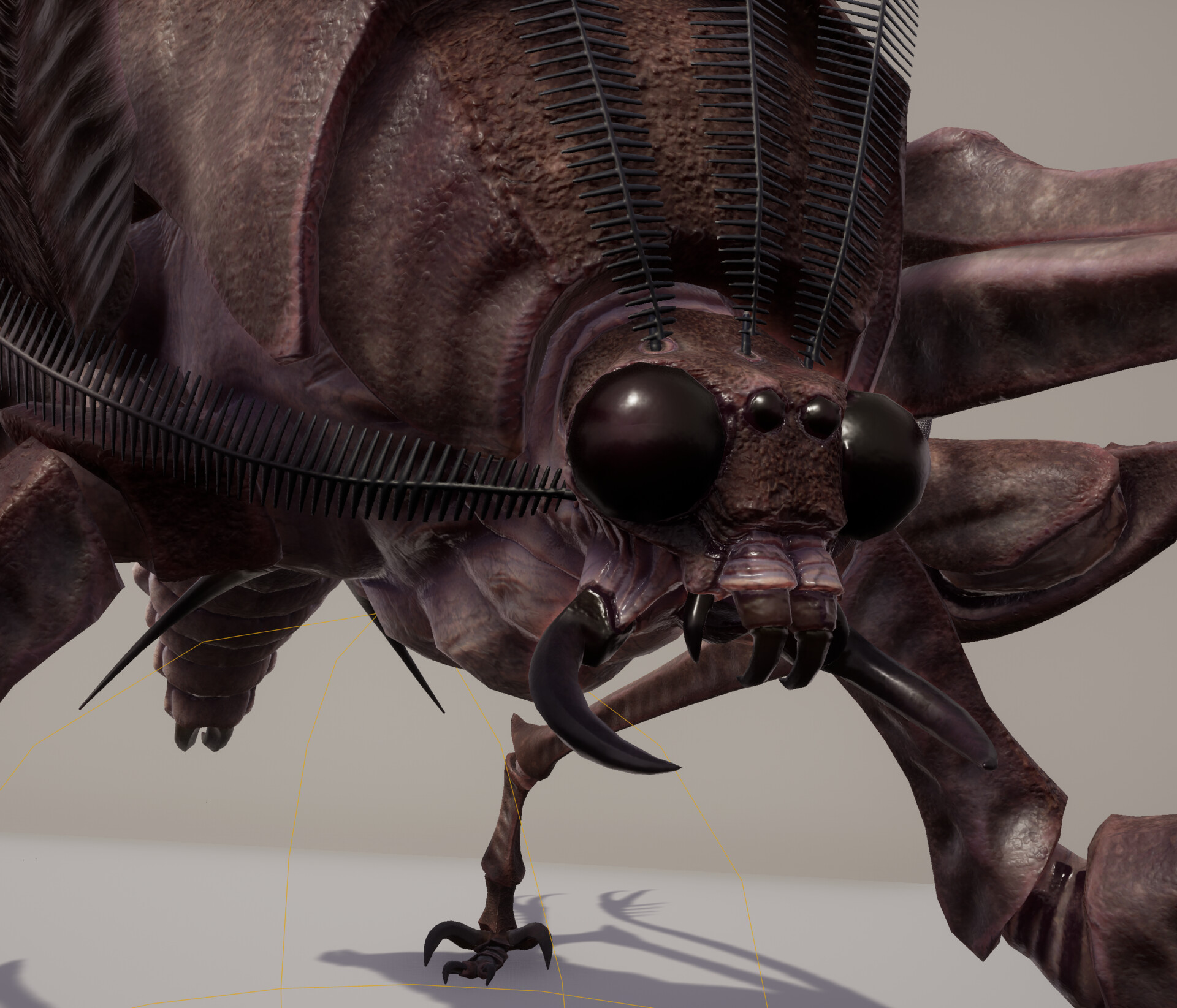 Vitali Ivanov Skimmer