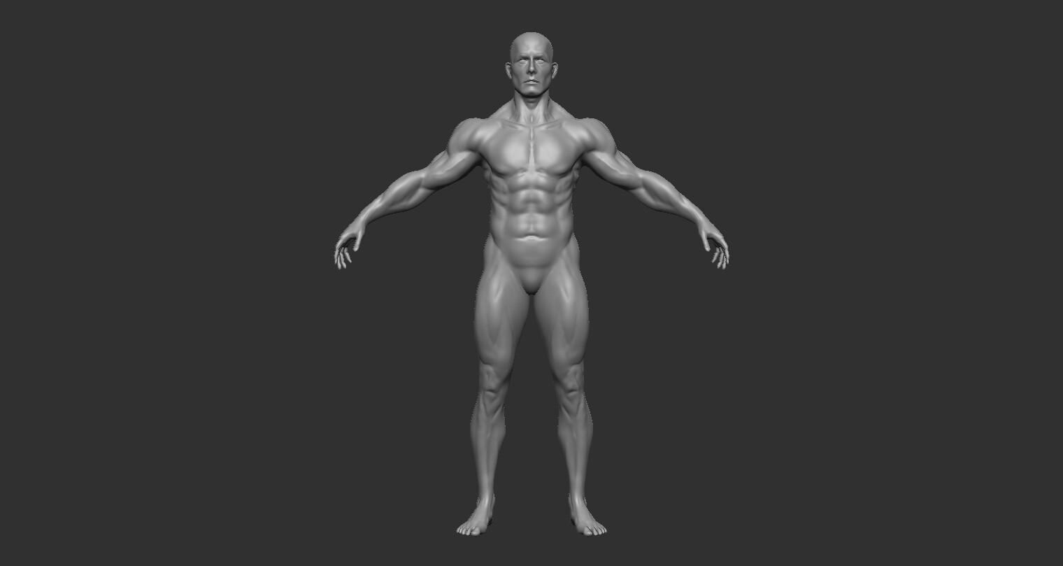 ArtStation - Anatomy study with Vijay Sir from a sphere