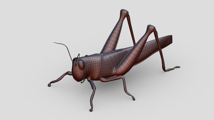 ArtStation - 2021 Grasshopper