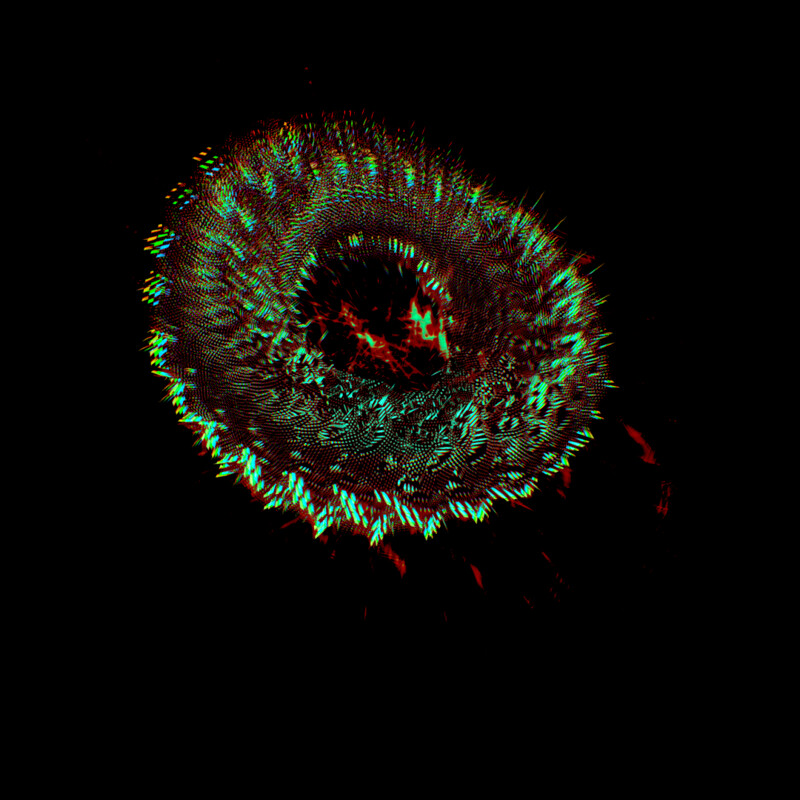 Demonic Doughnut