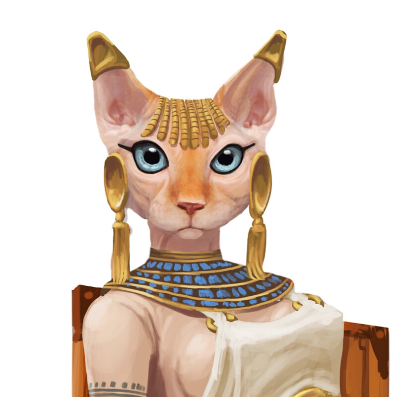 Cleopatra the Sphinx Cat