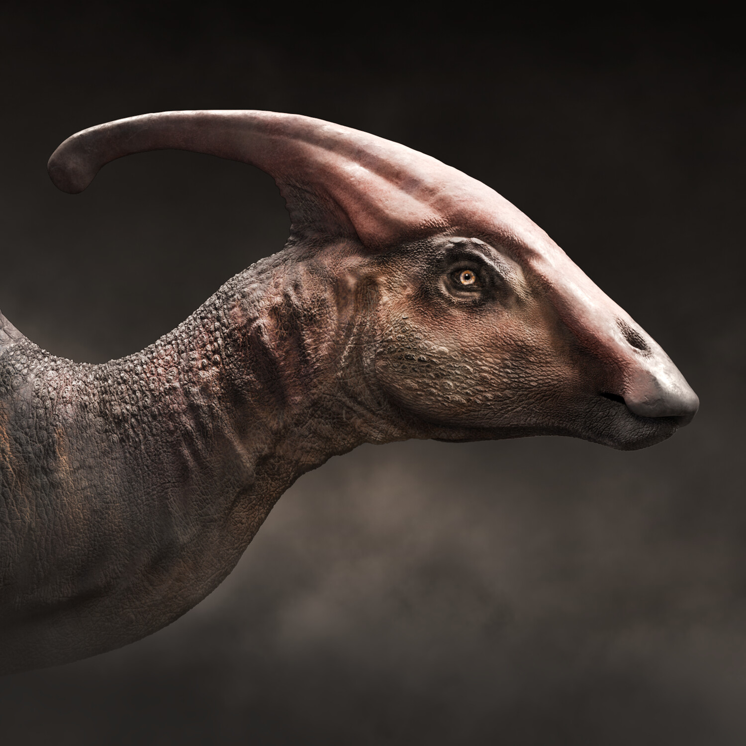 ArtStation - 3D Dino - Parasaurolophus