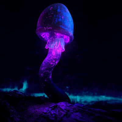 ArtStation - Mushroom Lights