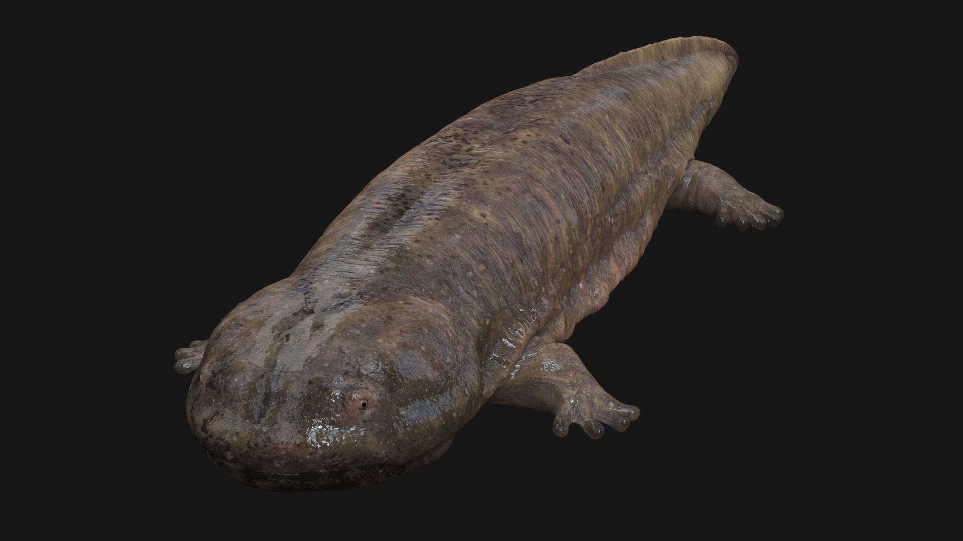 Artstation Giant Salamander