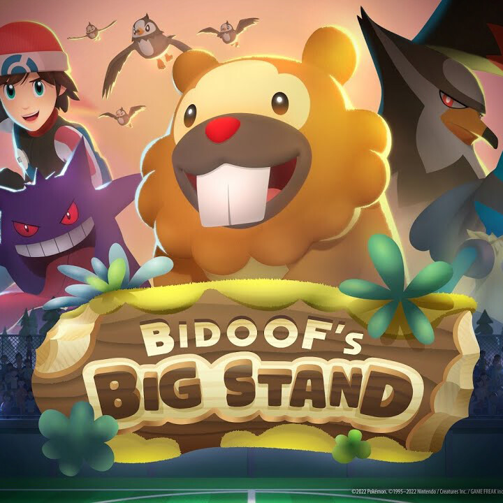 Pokemon: Bidoof´s Big Stand, 3D Environments