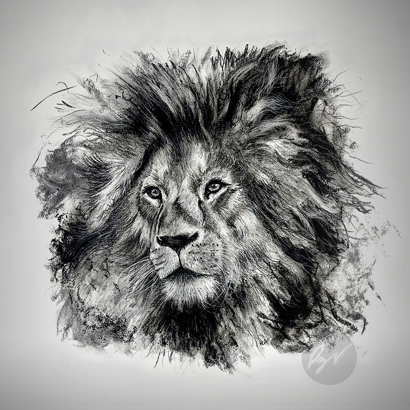 Realistic Lion Drawing · Creative Fabrica
