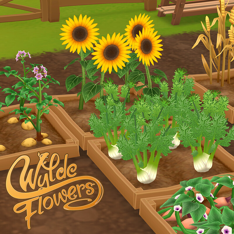 Wylde Flowers - Farm