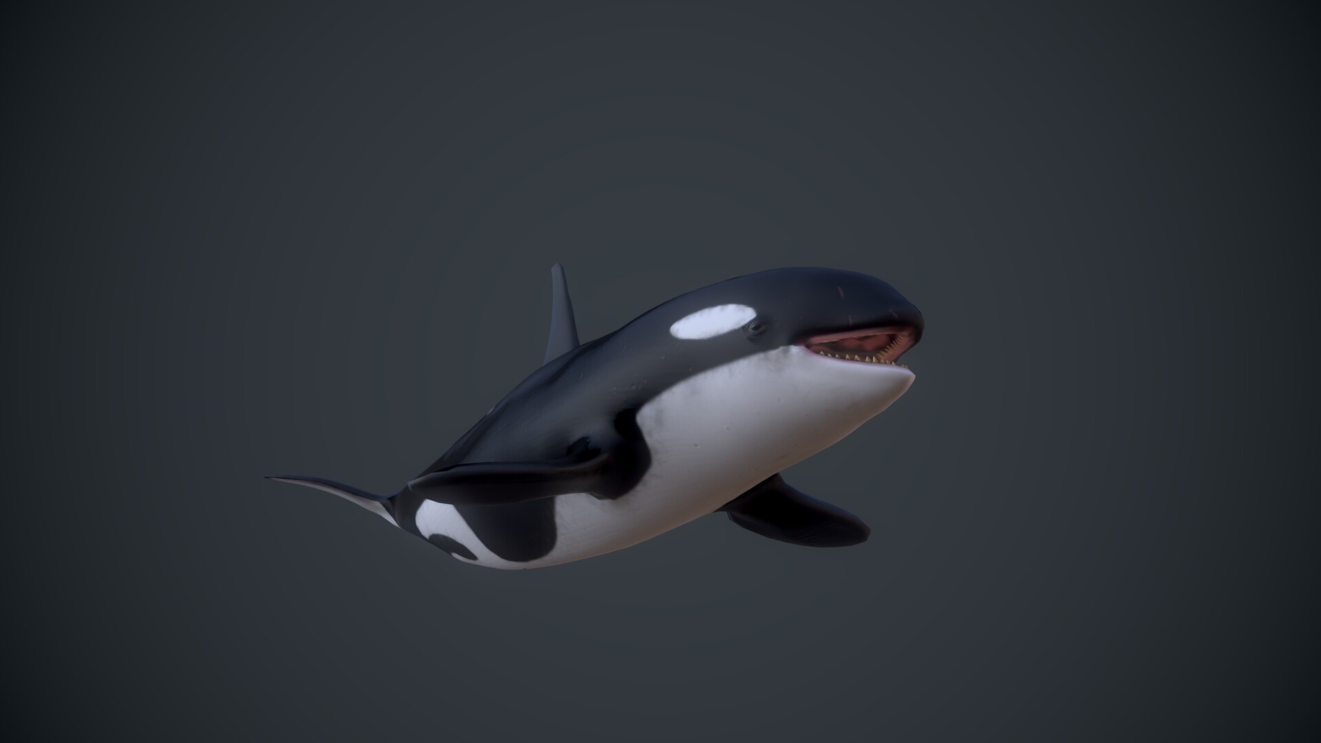 Artstation Orca Or Killer Whale