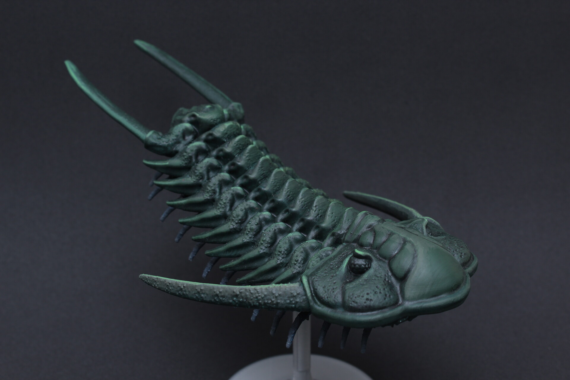 Artstation Trilobite 3d Printing Model