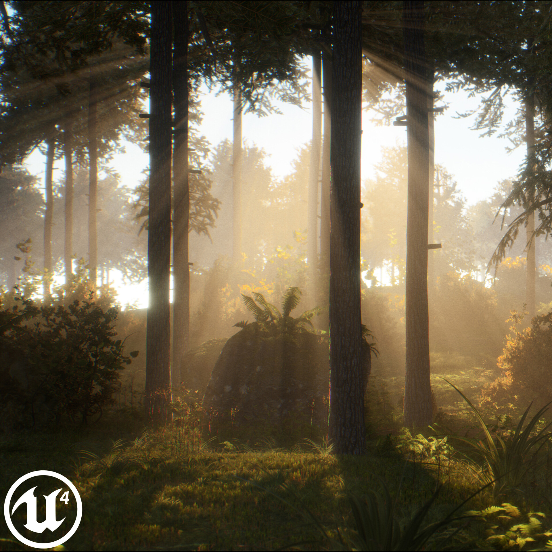 Forest Walk -  Unreal Engine 4