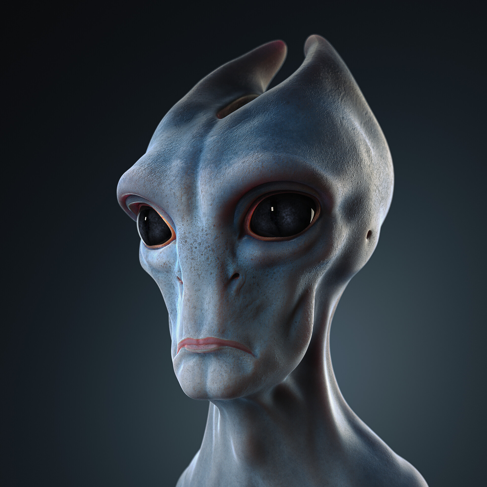 Dominik Drews - Salarian - Head Sculpt