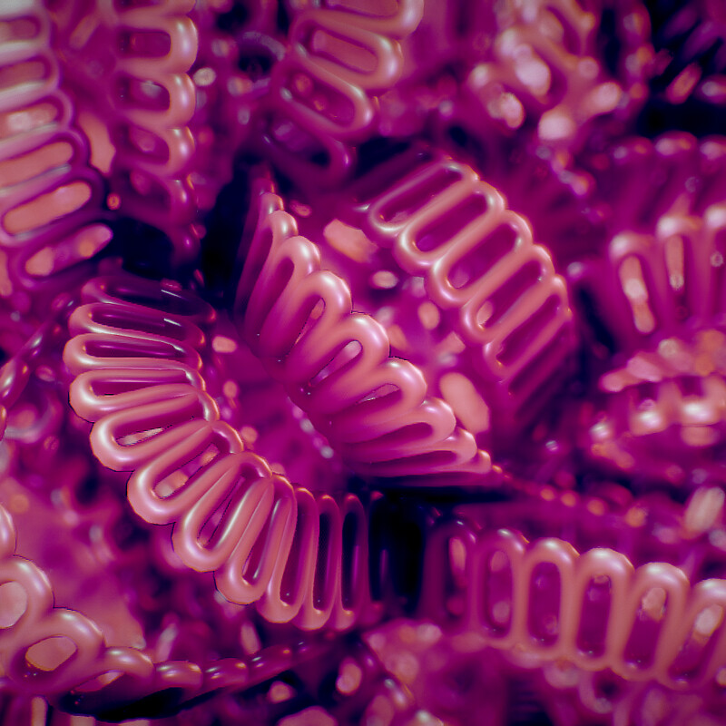 Coil Entanglement