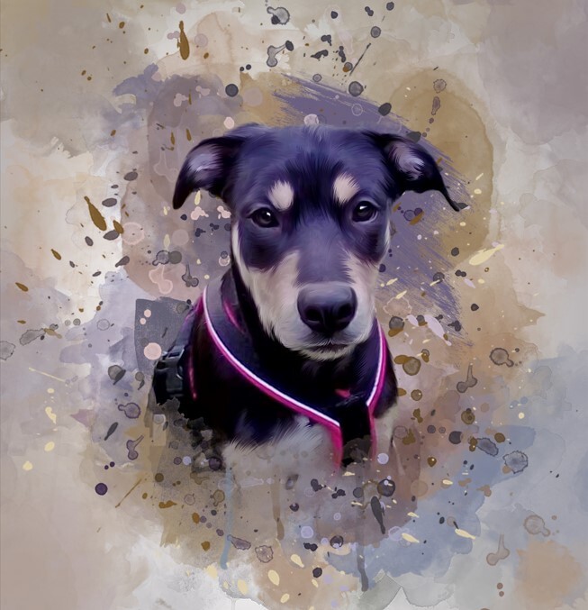 ArtStation UniqueWatercolor Pet Portrait in procreate