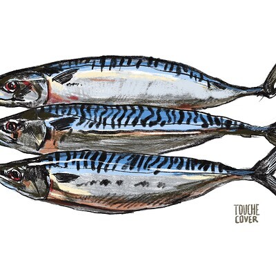 ArtStation - mackerel