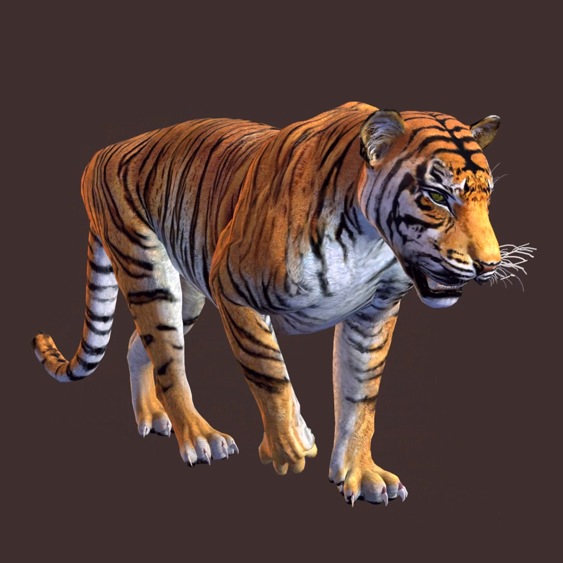 CG Bengal Tiger Animation 