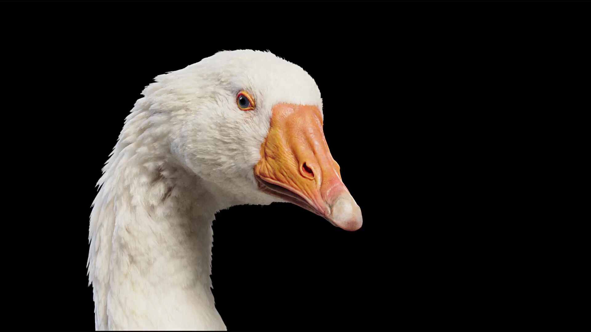 Horrible Goose