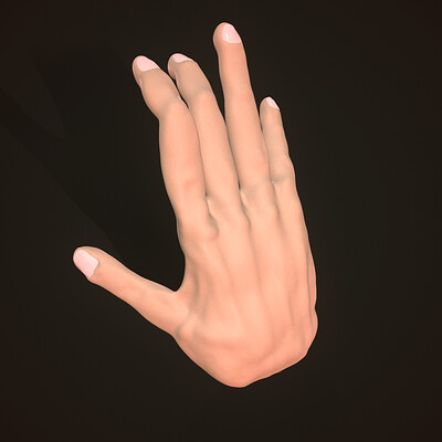 Anatomy Study: Hand