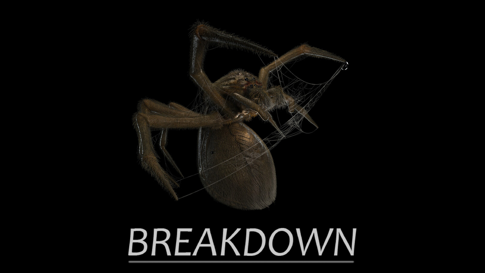 BREAKDOWN - Spider and Web
