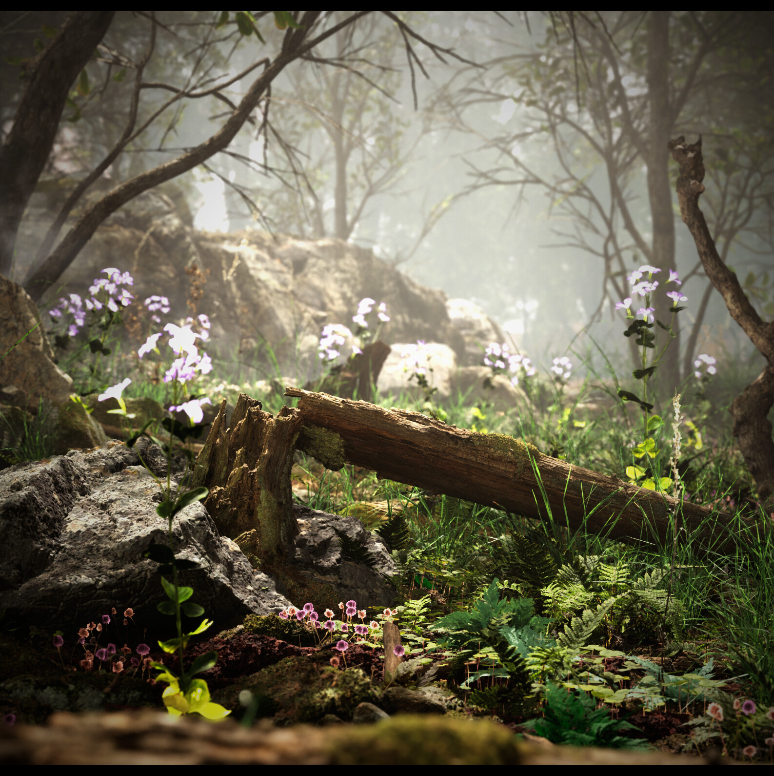 Peaceful Forest (UE5)