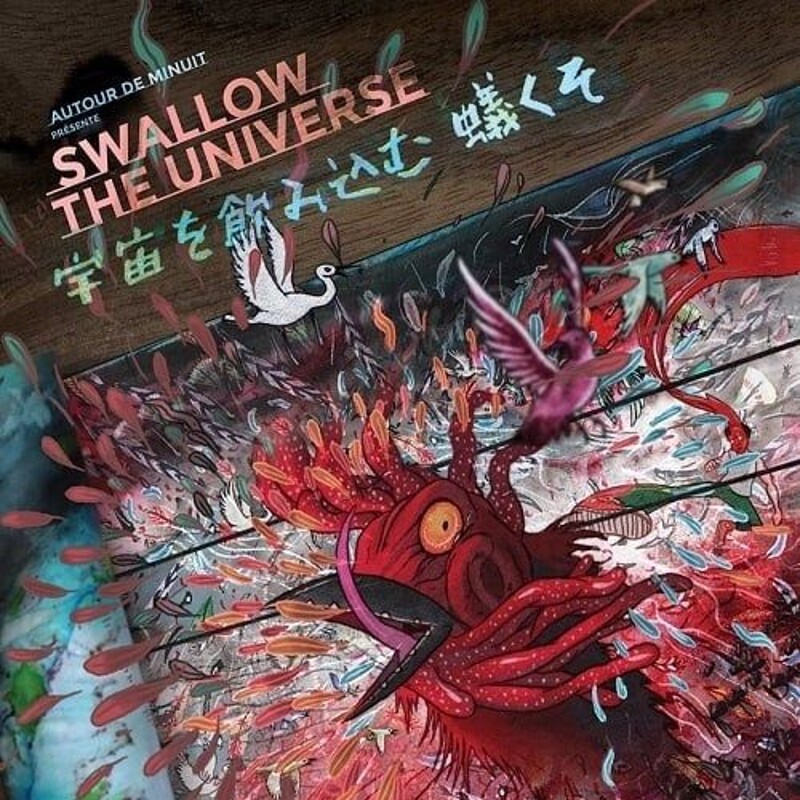 Swallow The Universe