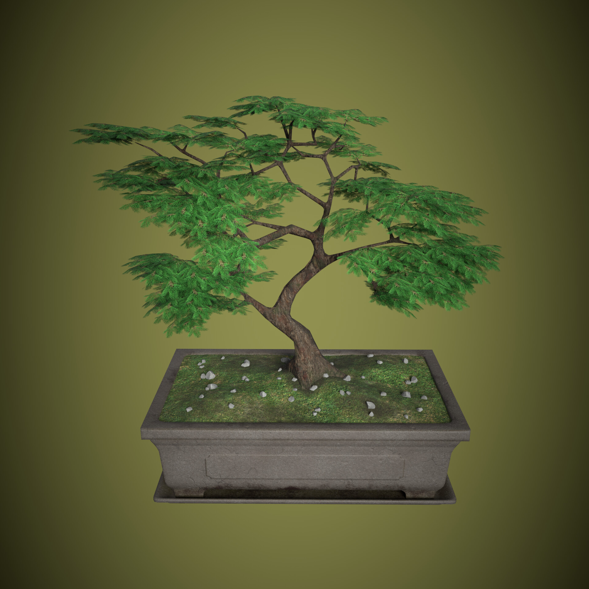 ArtStation Bonsai Tree