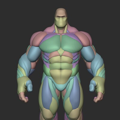 ArtStation - The great chest muscle - pectoralis major, Anatomy For  Sculptors