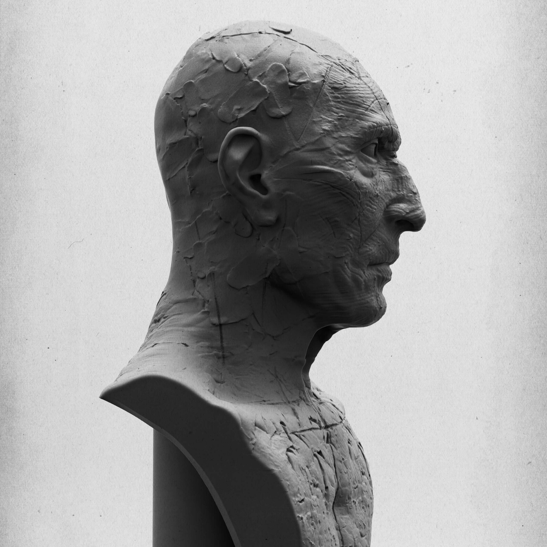 ArtStation - Male Bust