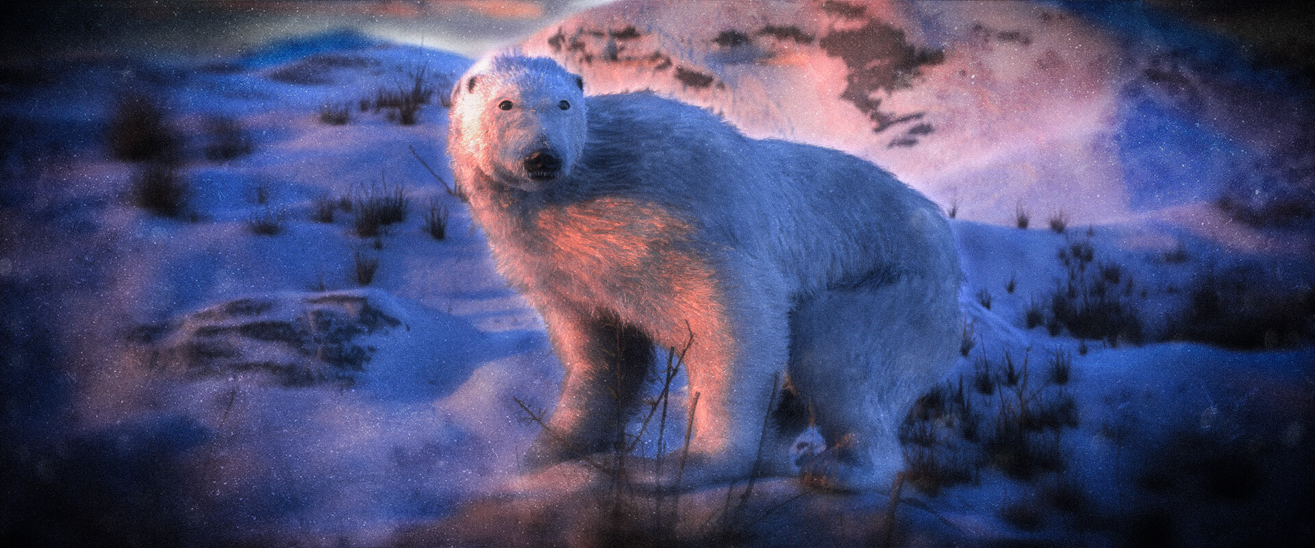 ArtStation - Polar Bear Simulation Experiment