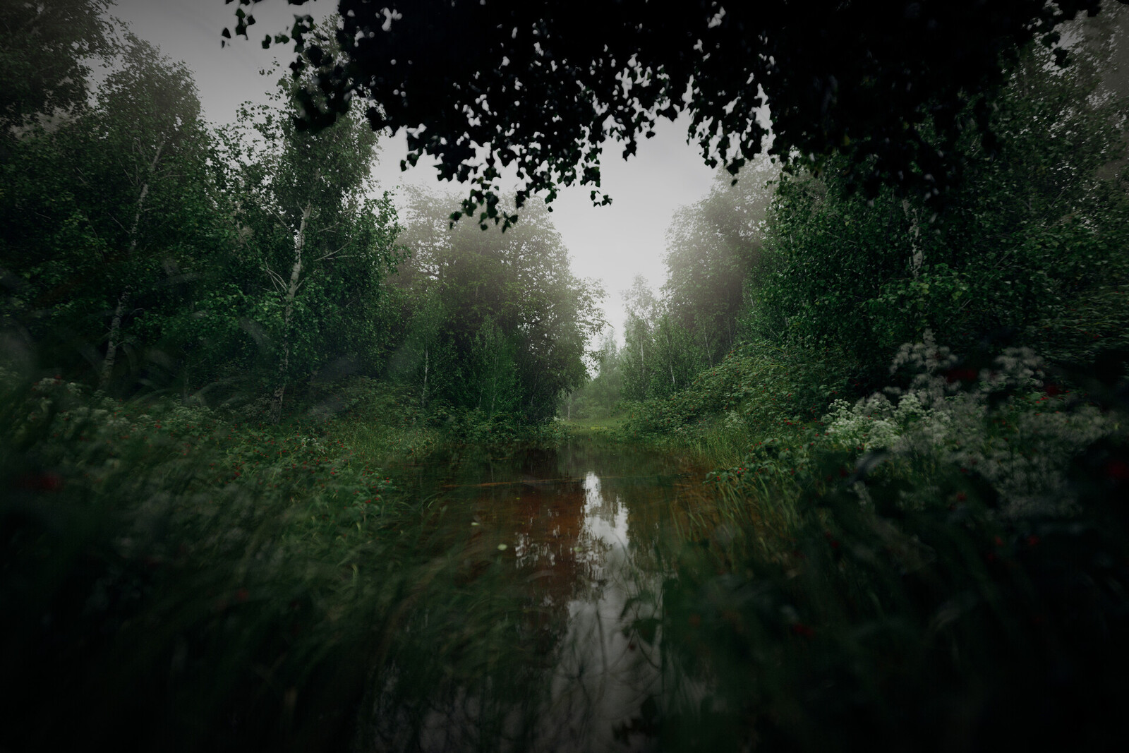 Peaceful Marshland Biome with Octane Render (breakdown) 