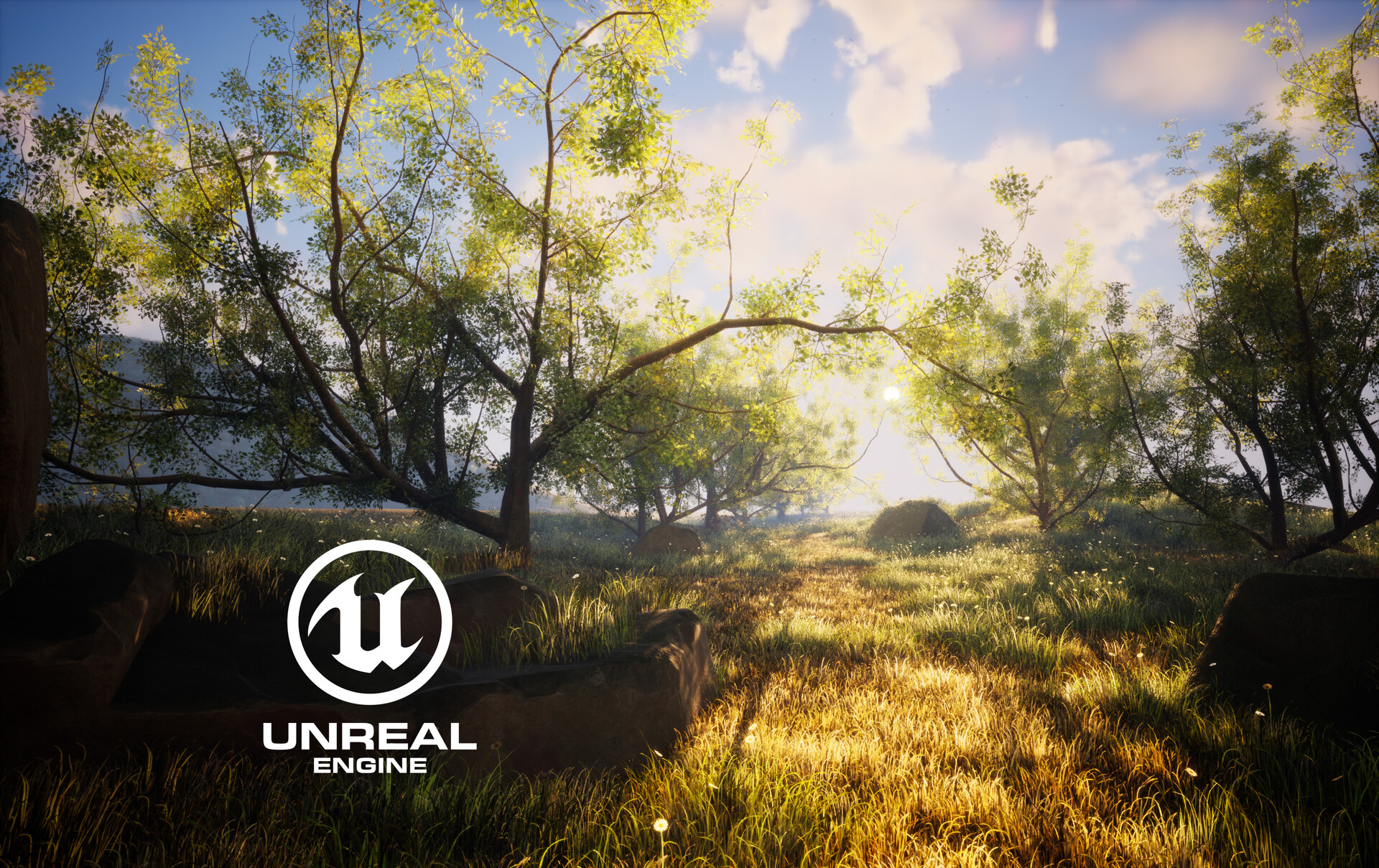 ArtStation - Forest - UE5 - Lumen