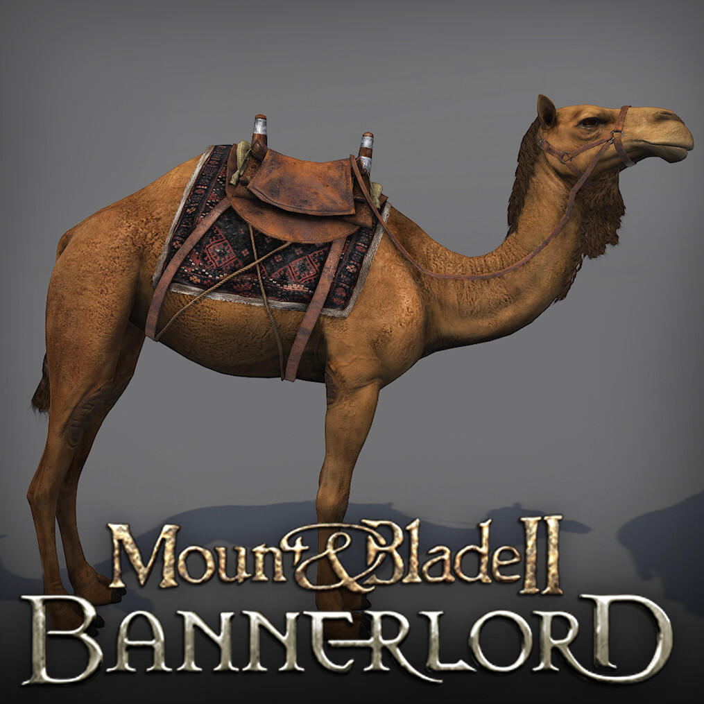 ArtStation - Mount & Blade II: Bannerlord - Camels