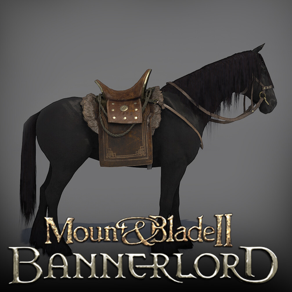 ArtStation Mount & Blade II Bannerlord Horse Breeds