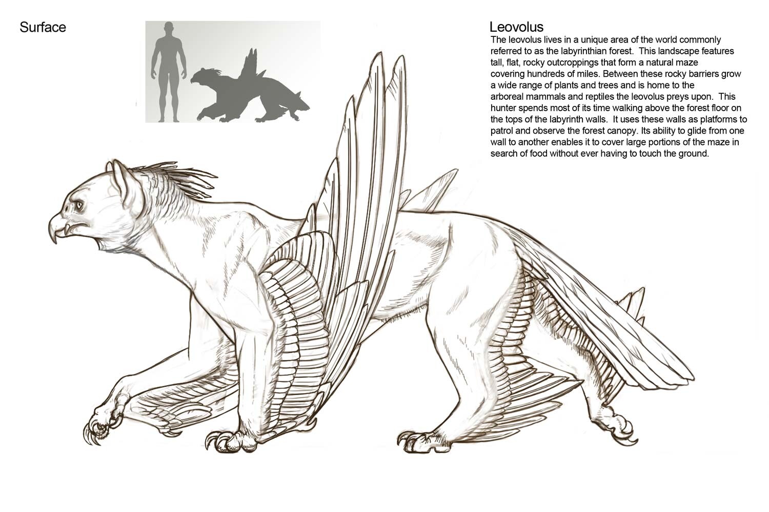 ArtStation - Creature Anatomy 4