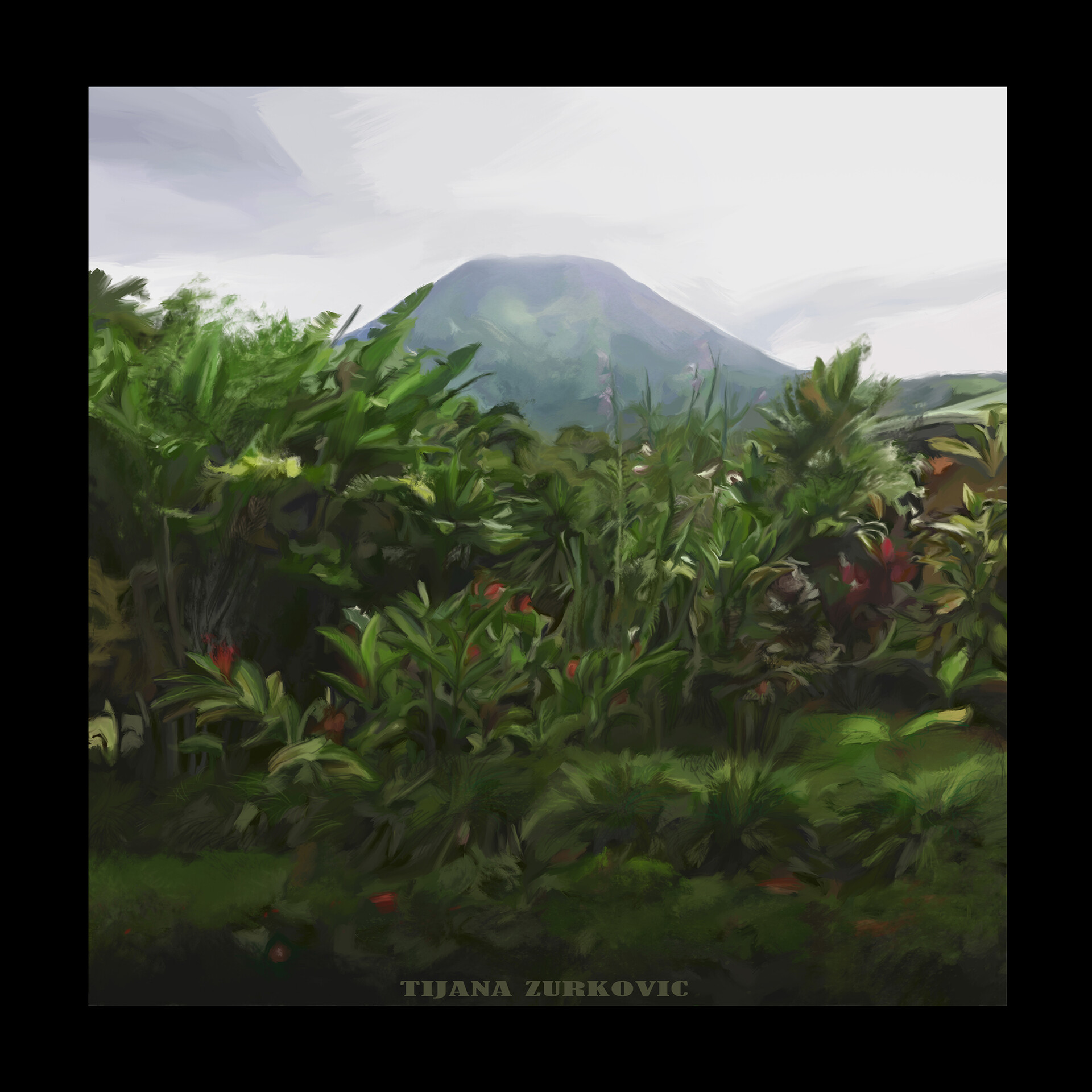 ArtStation hawaii mountain 🌴🗻