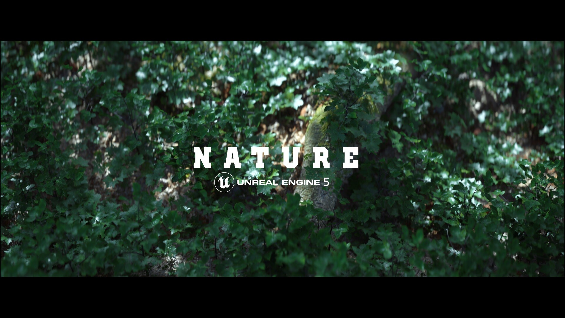 ArtStation - Nature - Unreal Engine