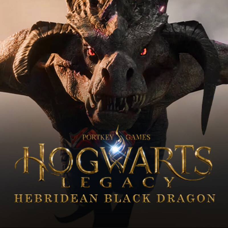Hogwarts Legacy - Hebridean Black Dragon
