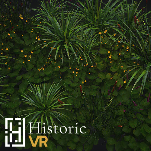 Vegetation - Pond Plants Collection