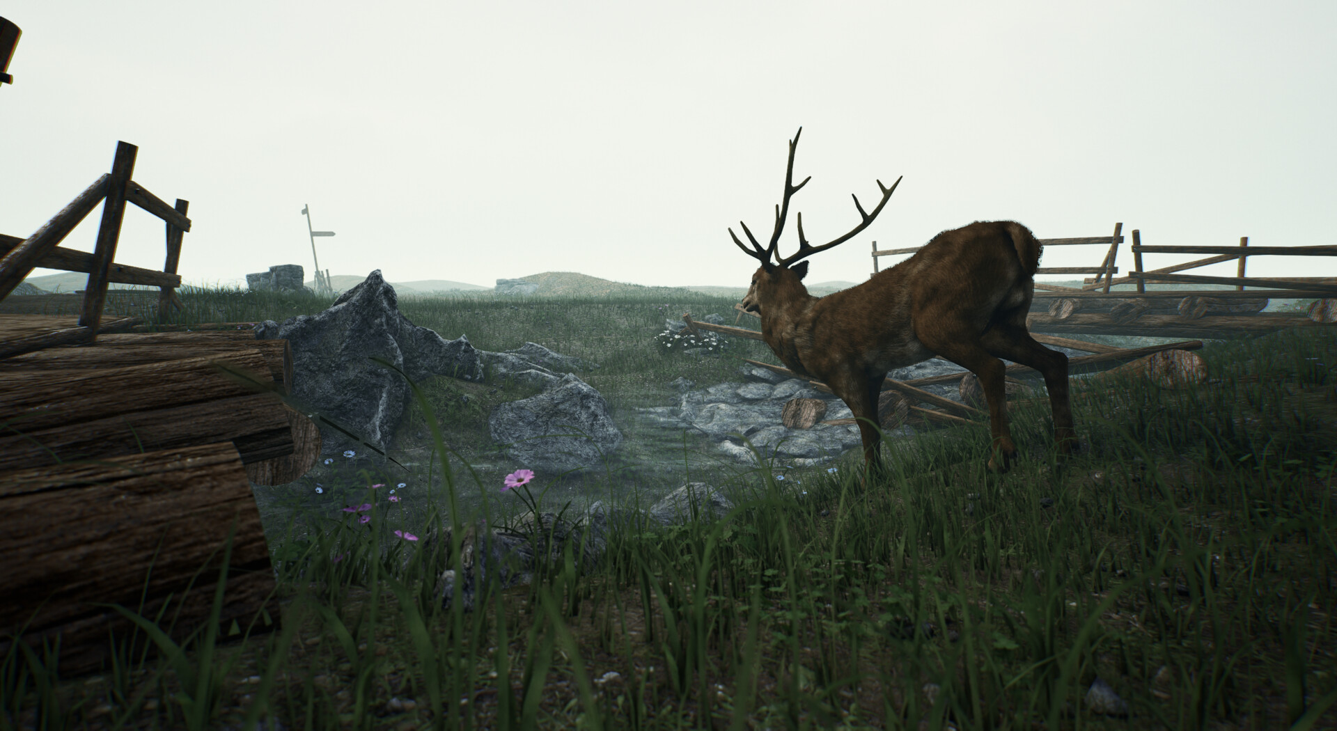 ArtStation - DEER HUNTER CLASSIC