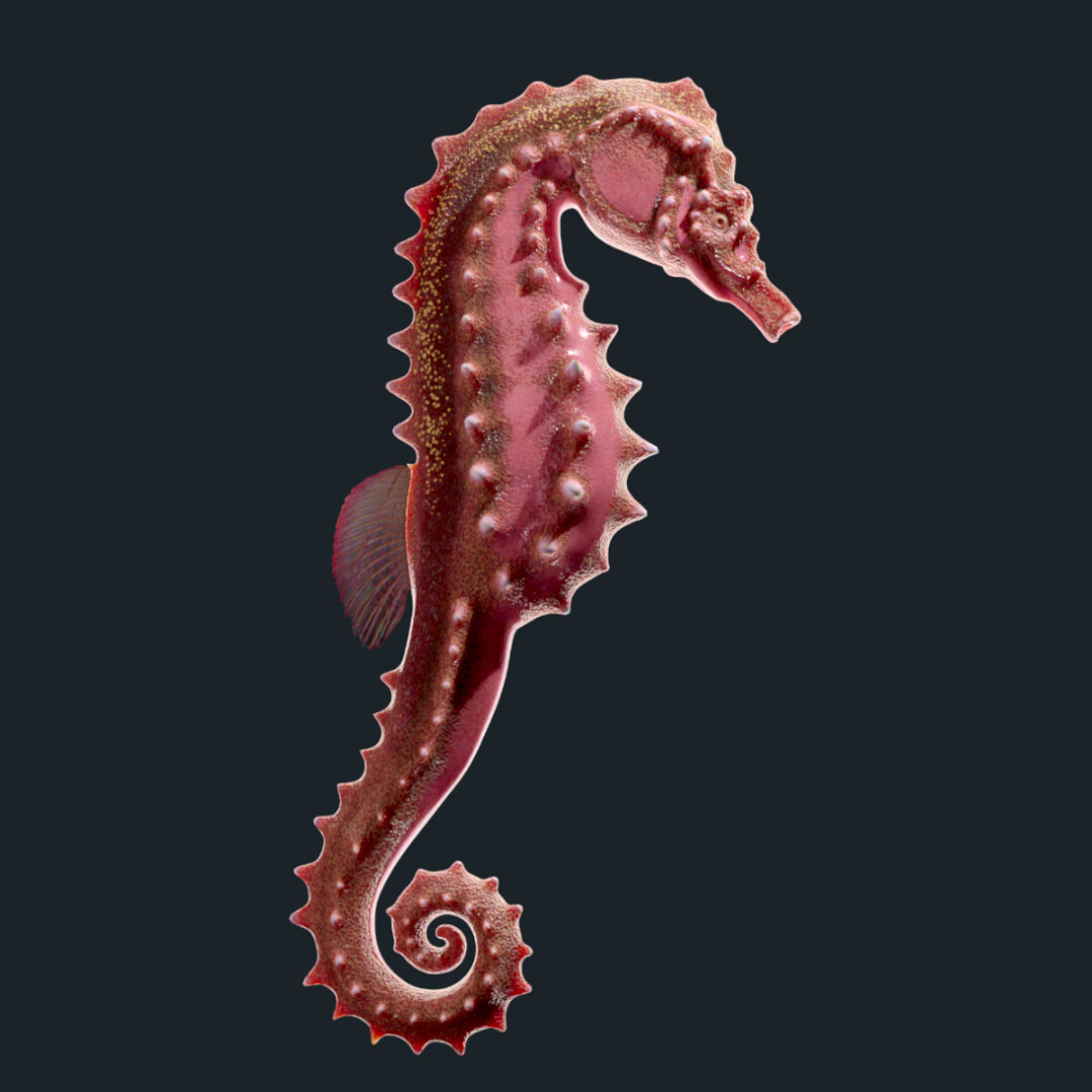 Lowpoly Seahorse