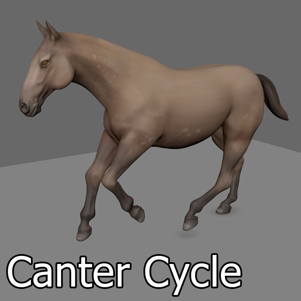 Horse Canter Cycle