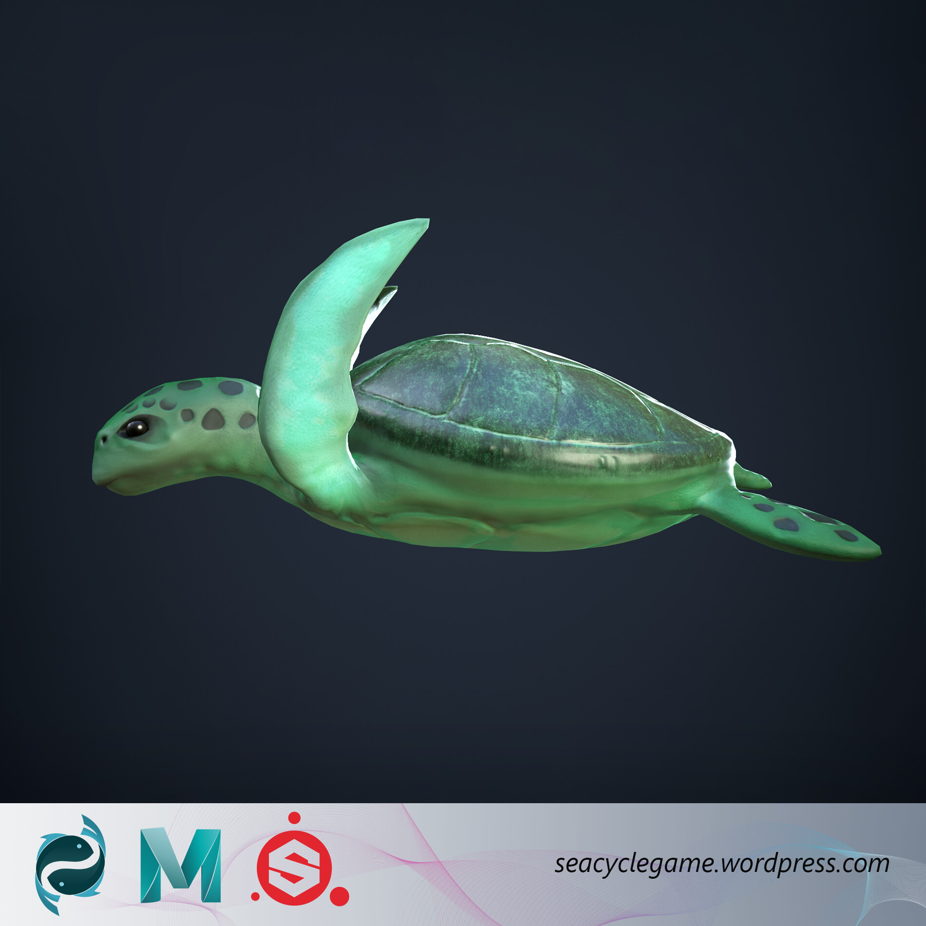 ArtStation - Sea Cycle: Stylized Green Sea Turtle