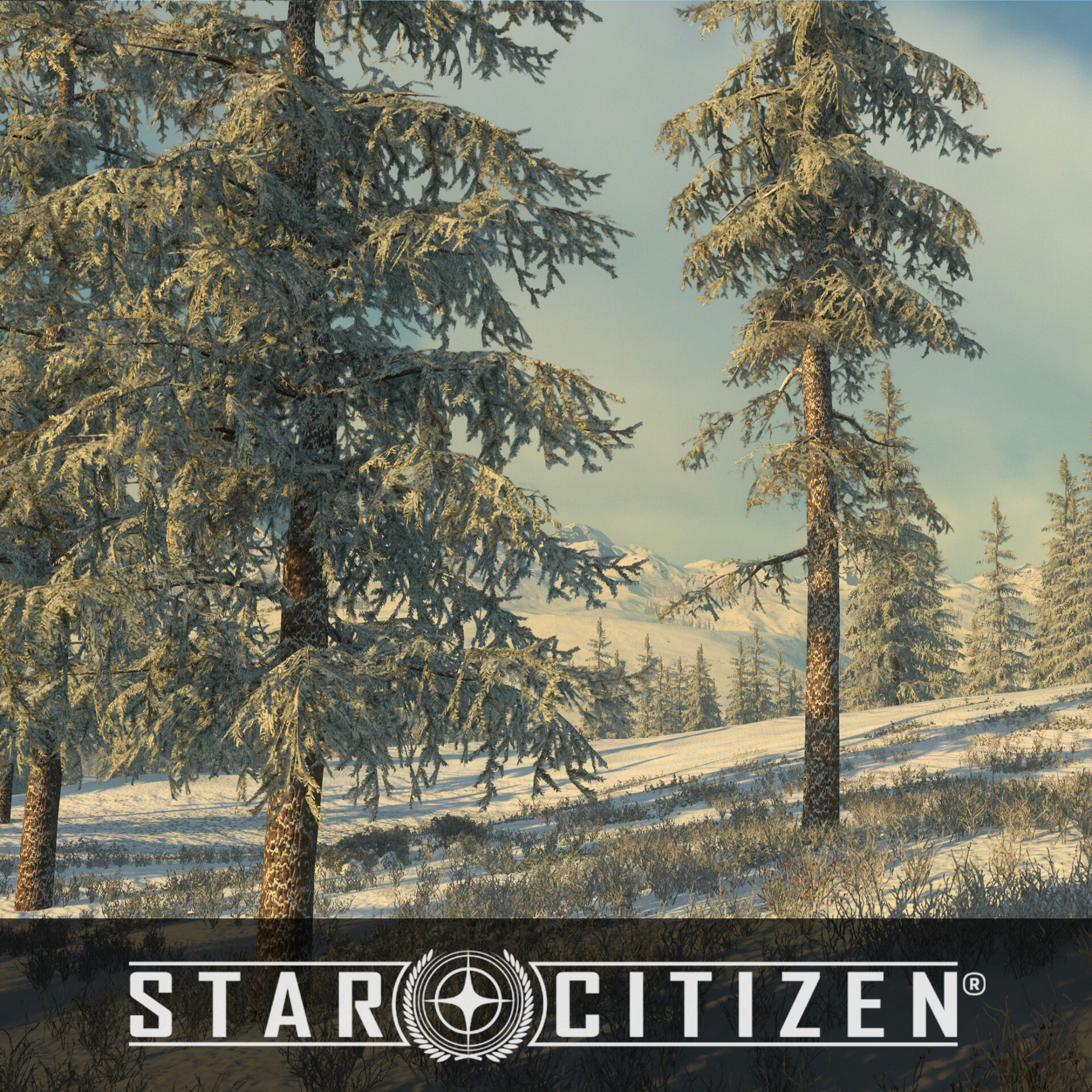 ArtStation - Star Citizen - Vegetation - Planet Microtech