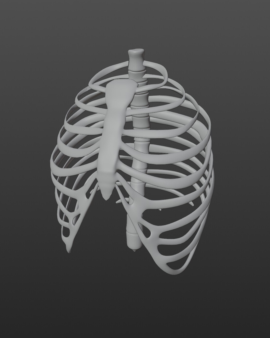 ArtStation - Human Ribs Model