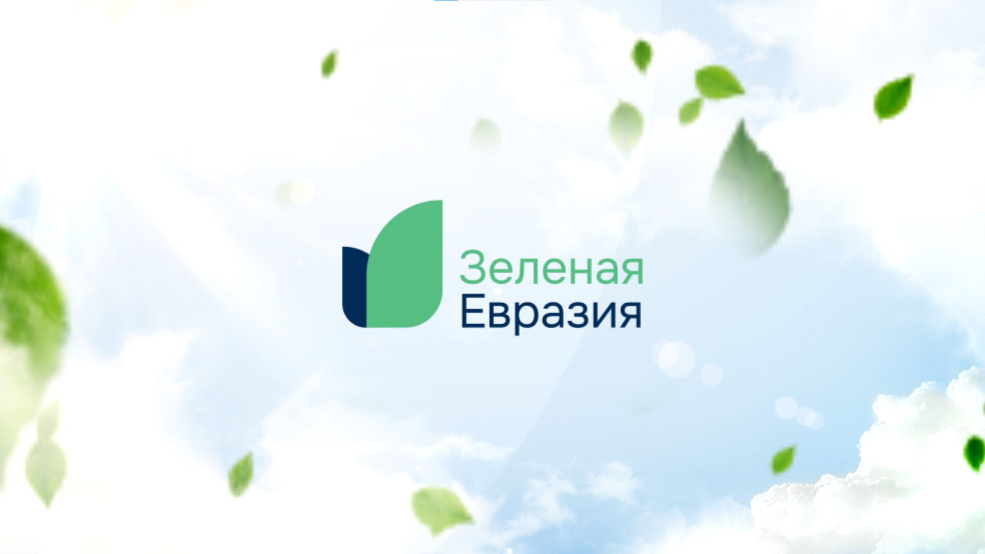 ArtStation - ЕАЭС - Eurasian Economic Union